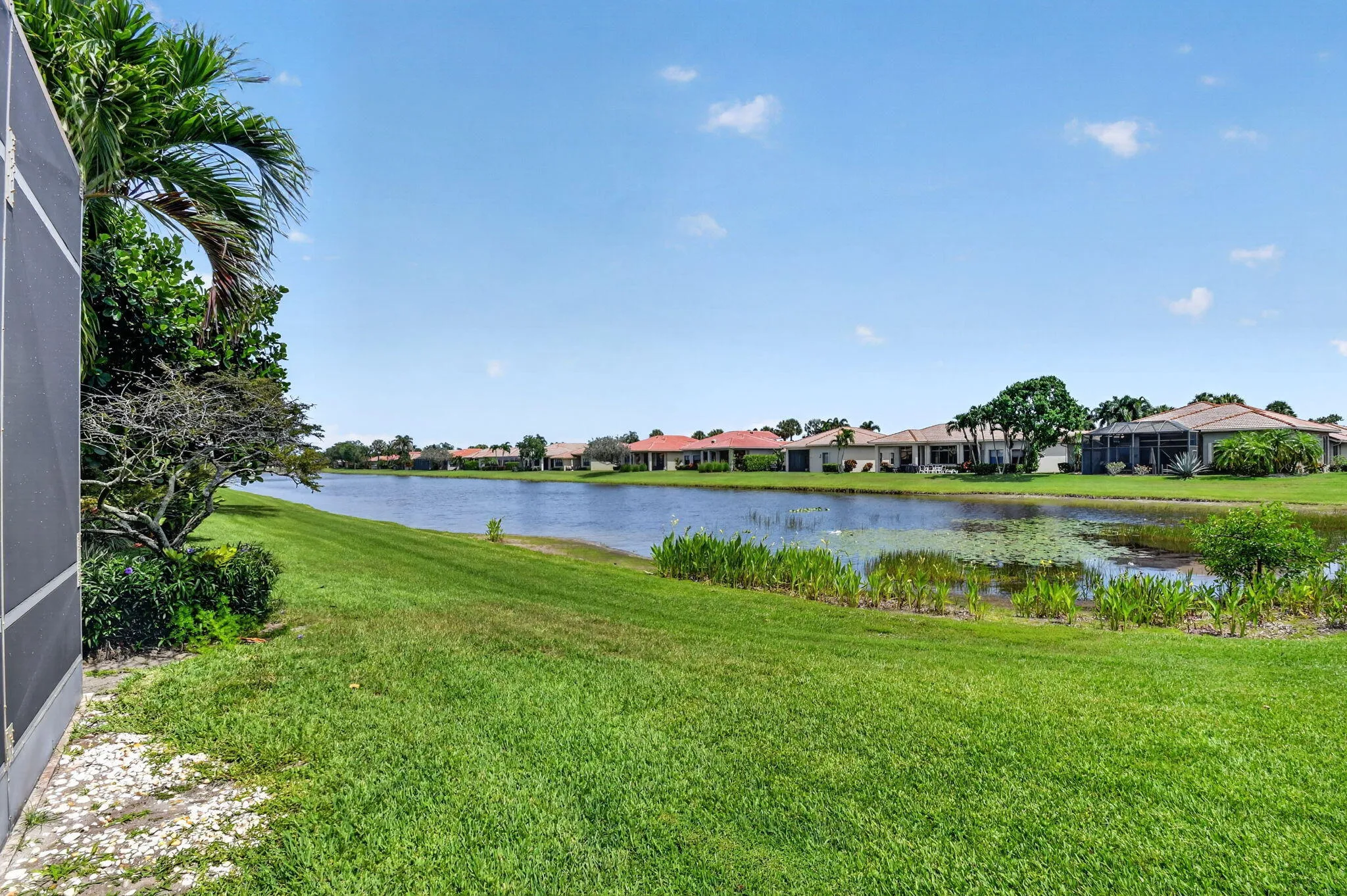 Pond View