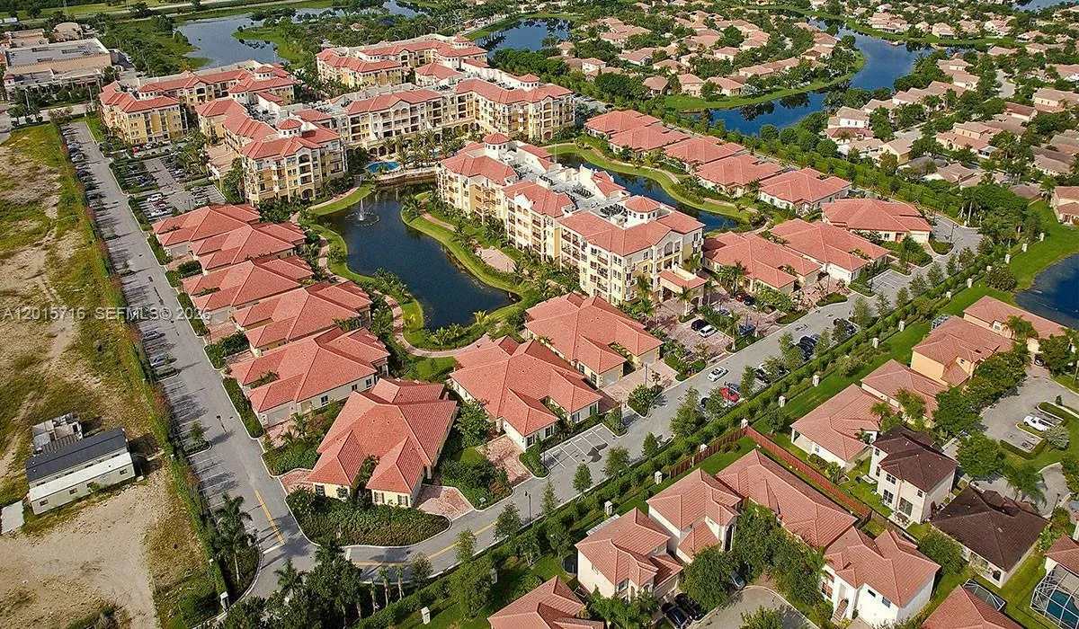 The palms/Weston 55+