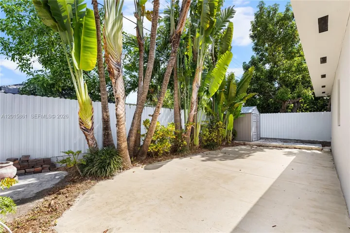 Photo 61