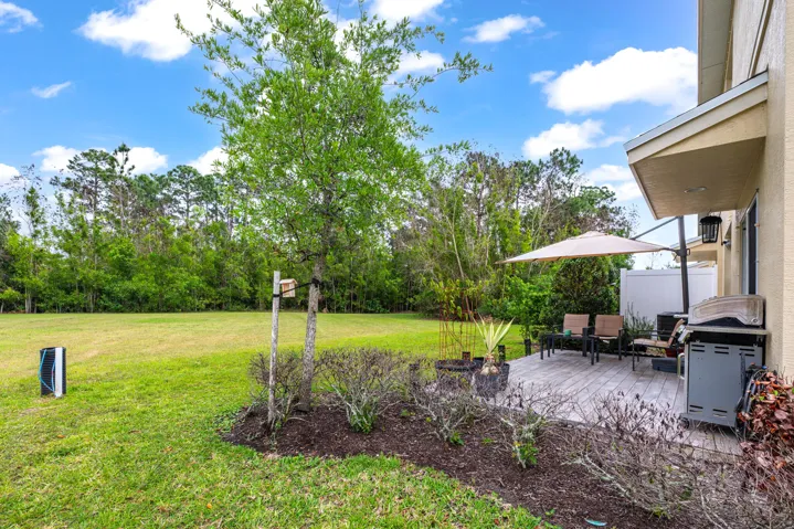 Back yard