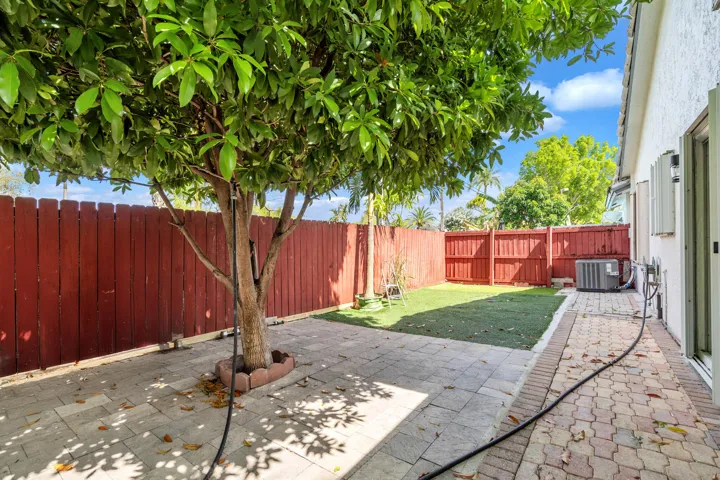 32-backyard-mango-tree