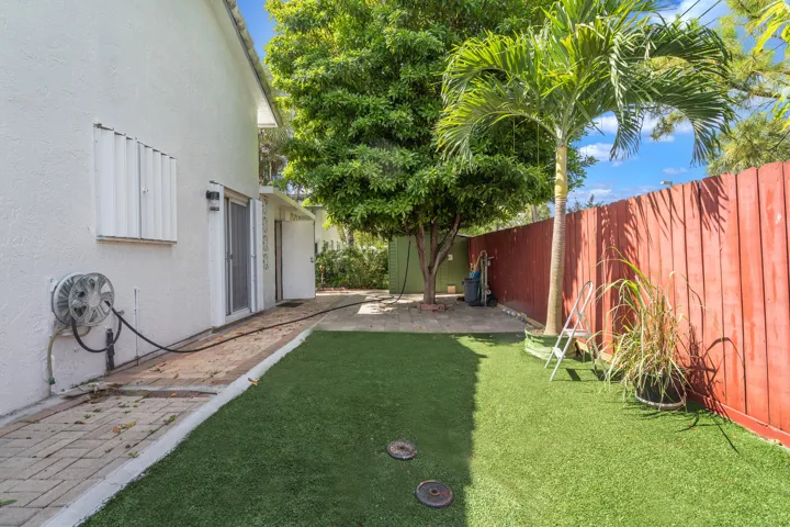 33-side-yard-palm