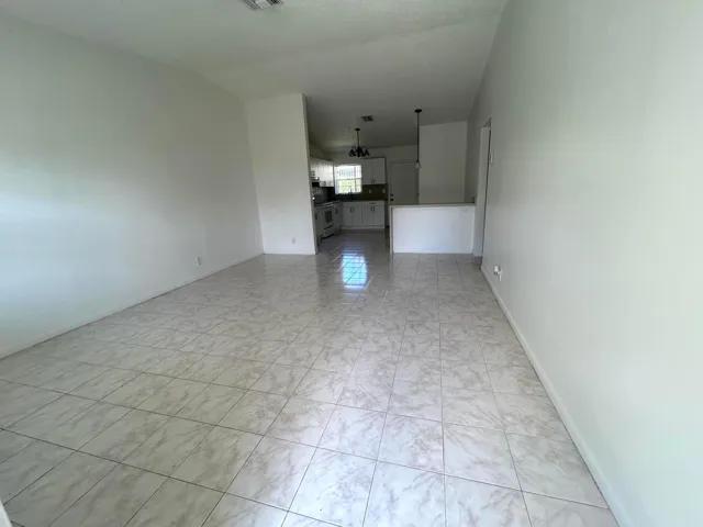 Living room and kitchen