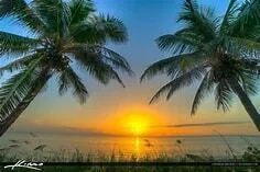Sunrise from patiio