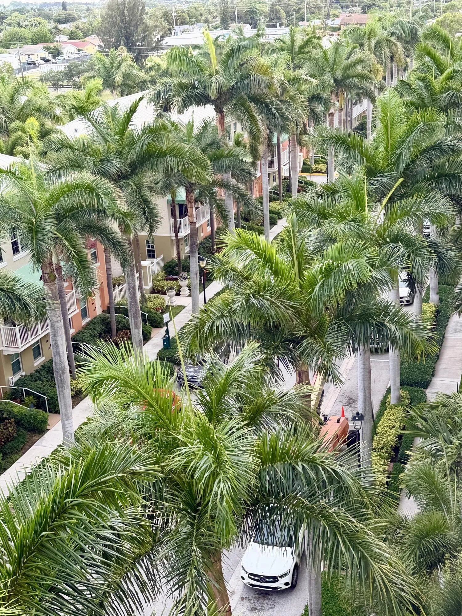 view