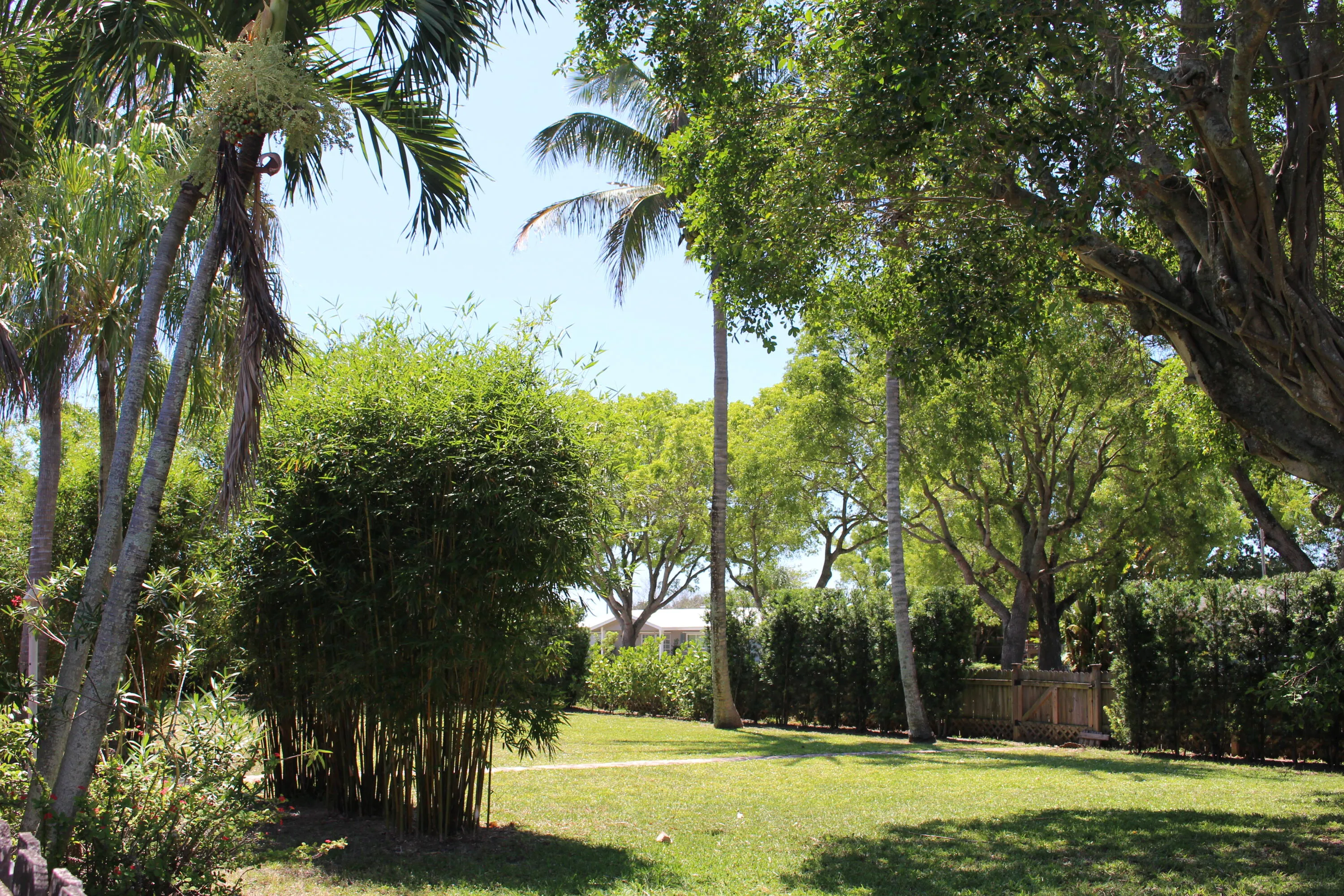 yard