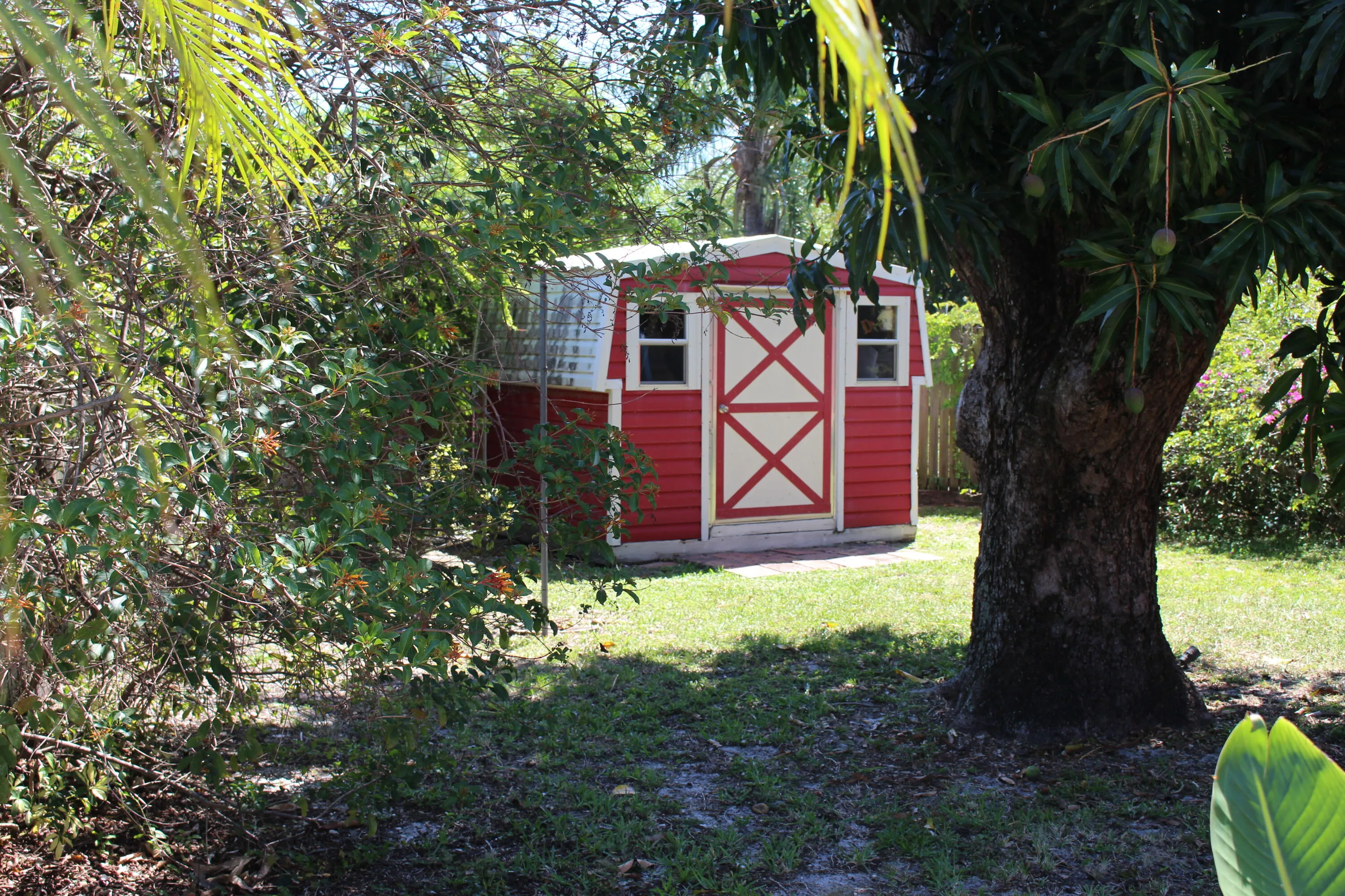 yard