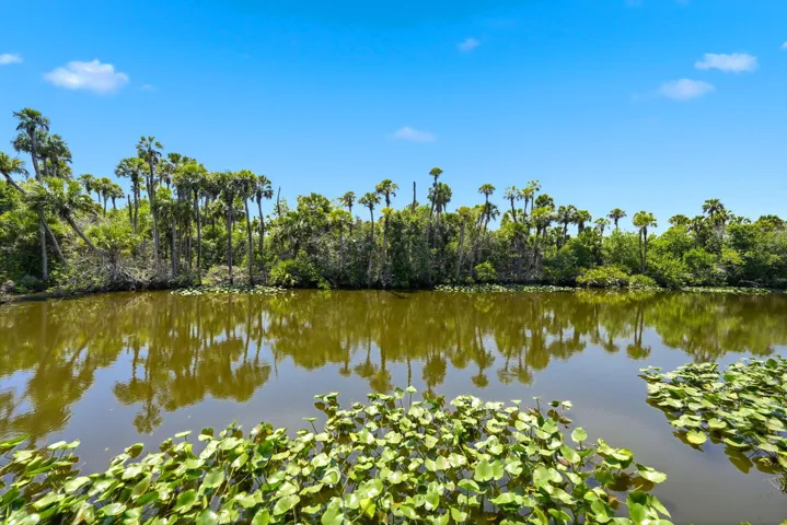 62-web-or-mls-108-carlisle-ln