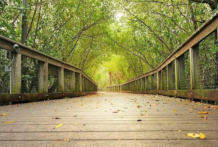 walkways through old Florida