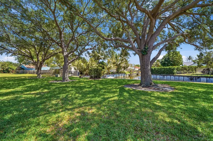 33_dsc07019