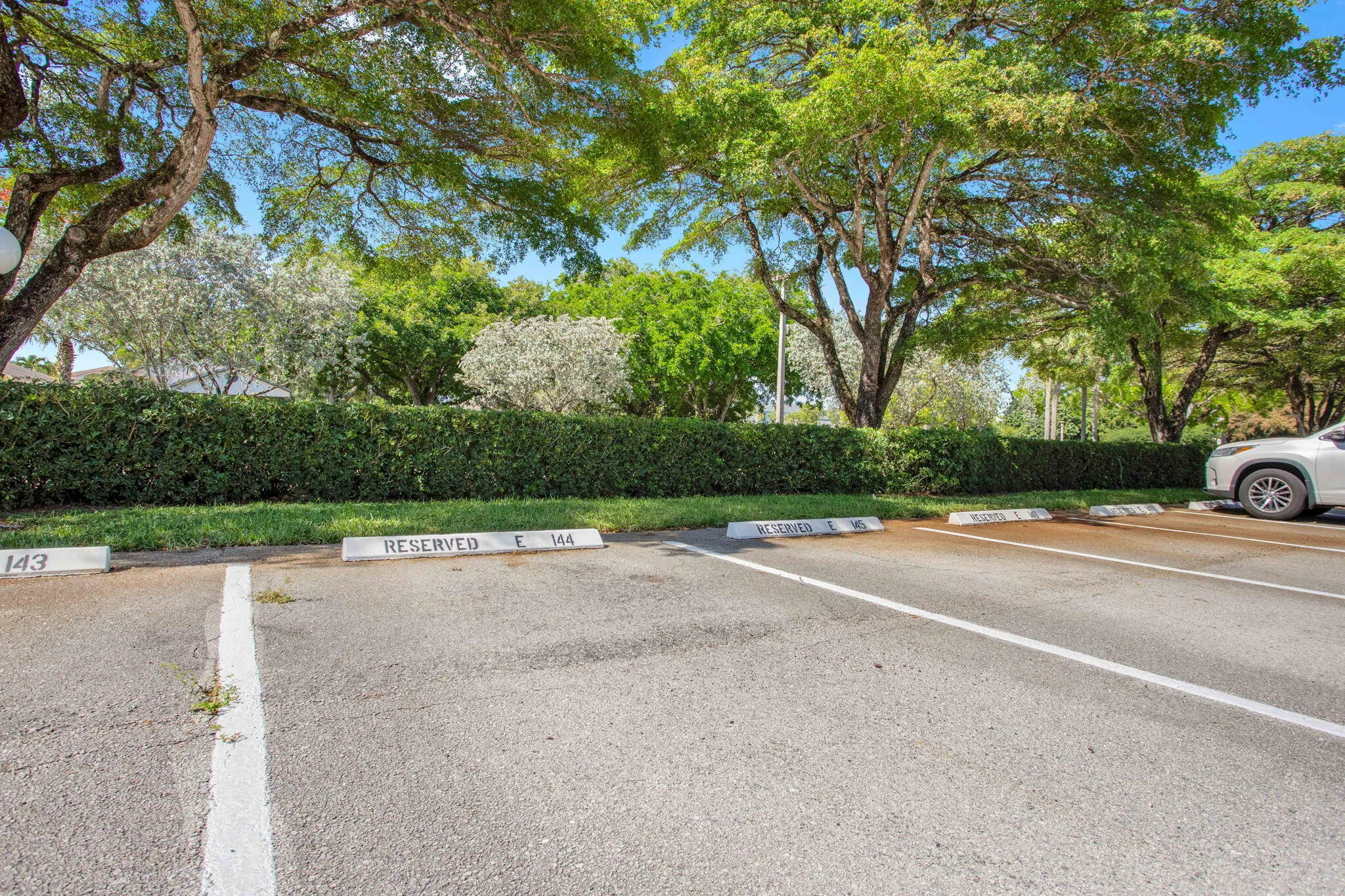 PARK IN #144