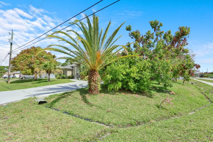 Front Yard