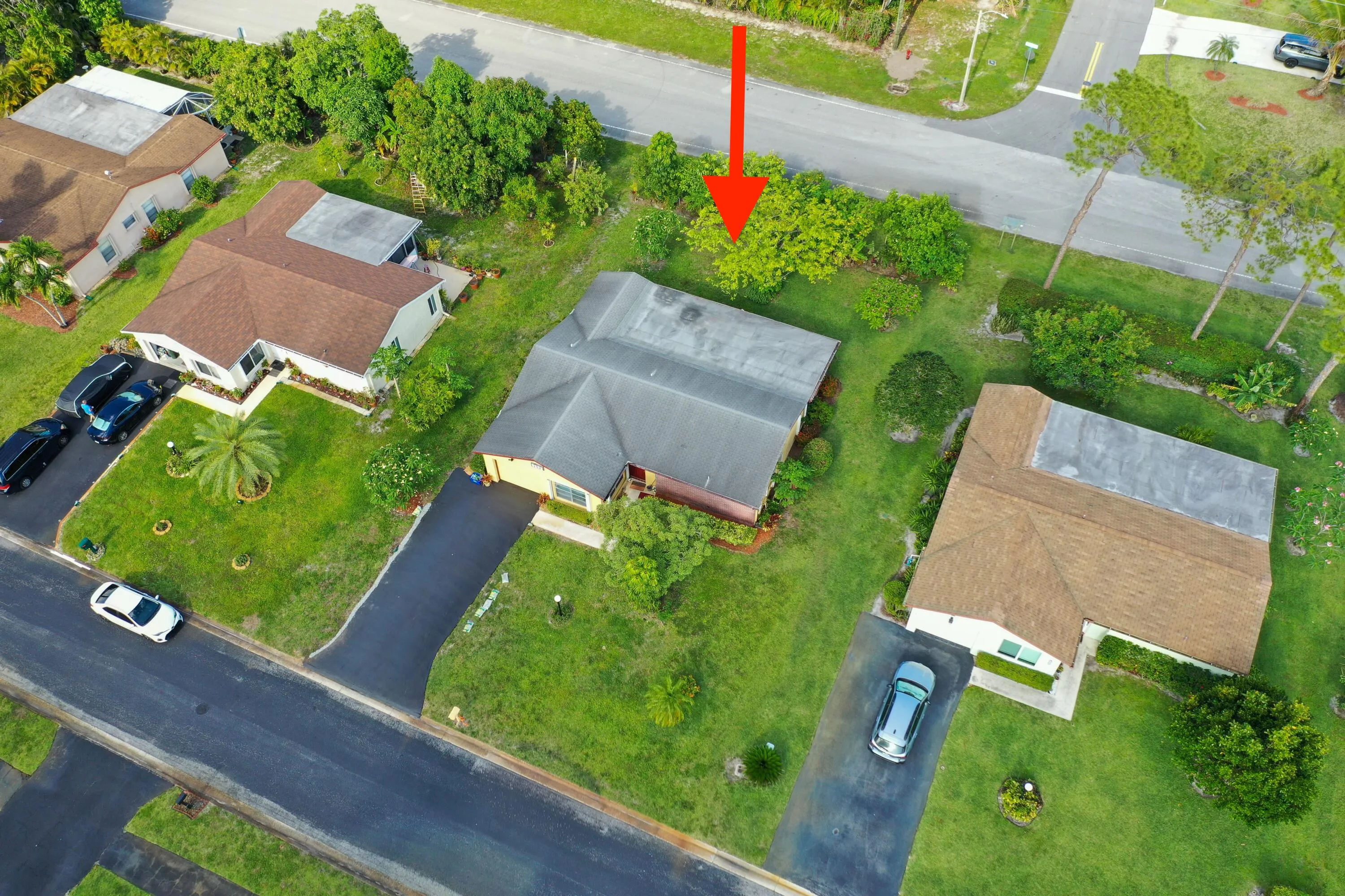 DJI_0010