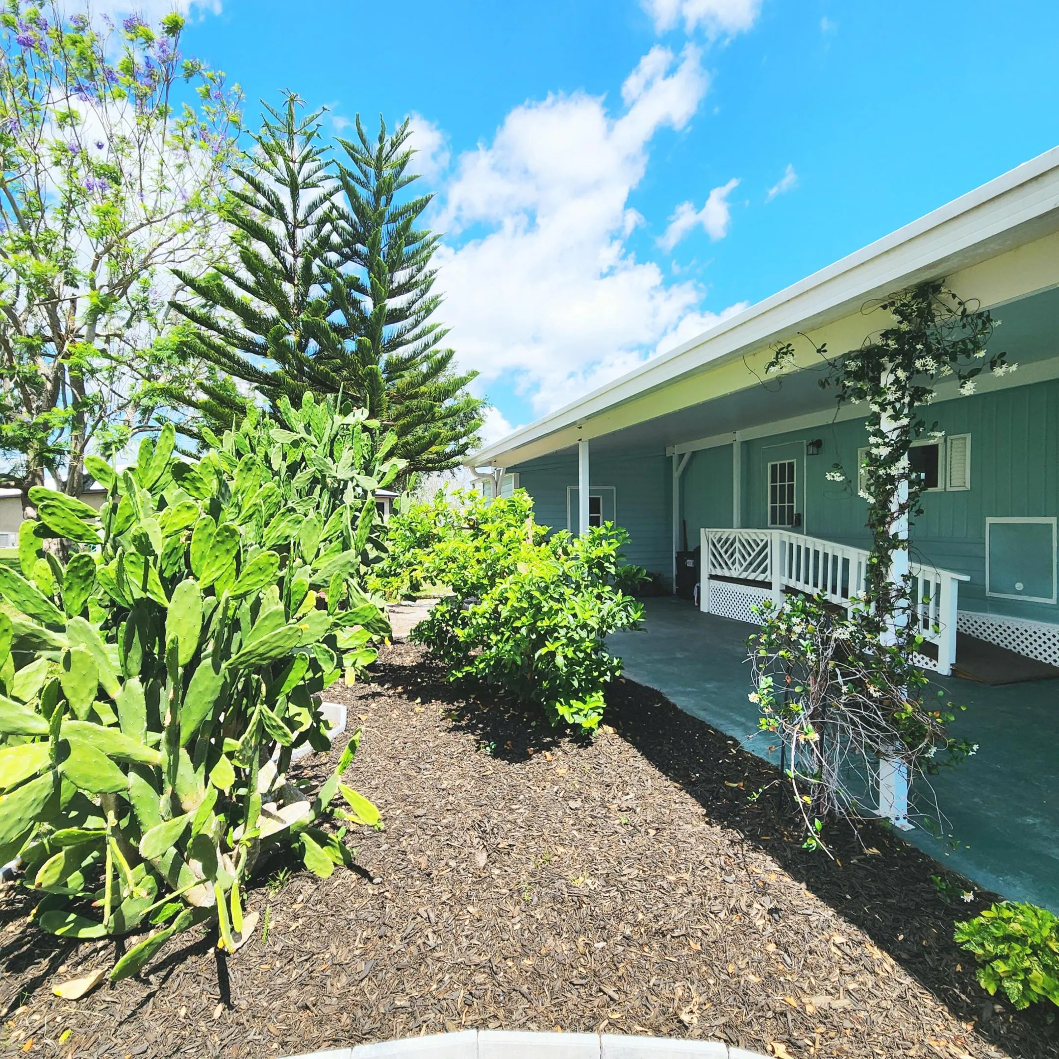 Property photo 67