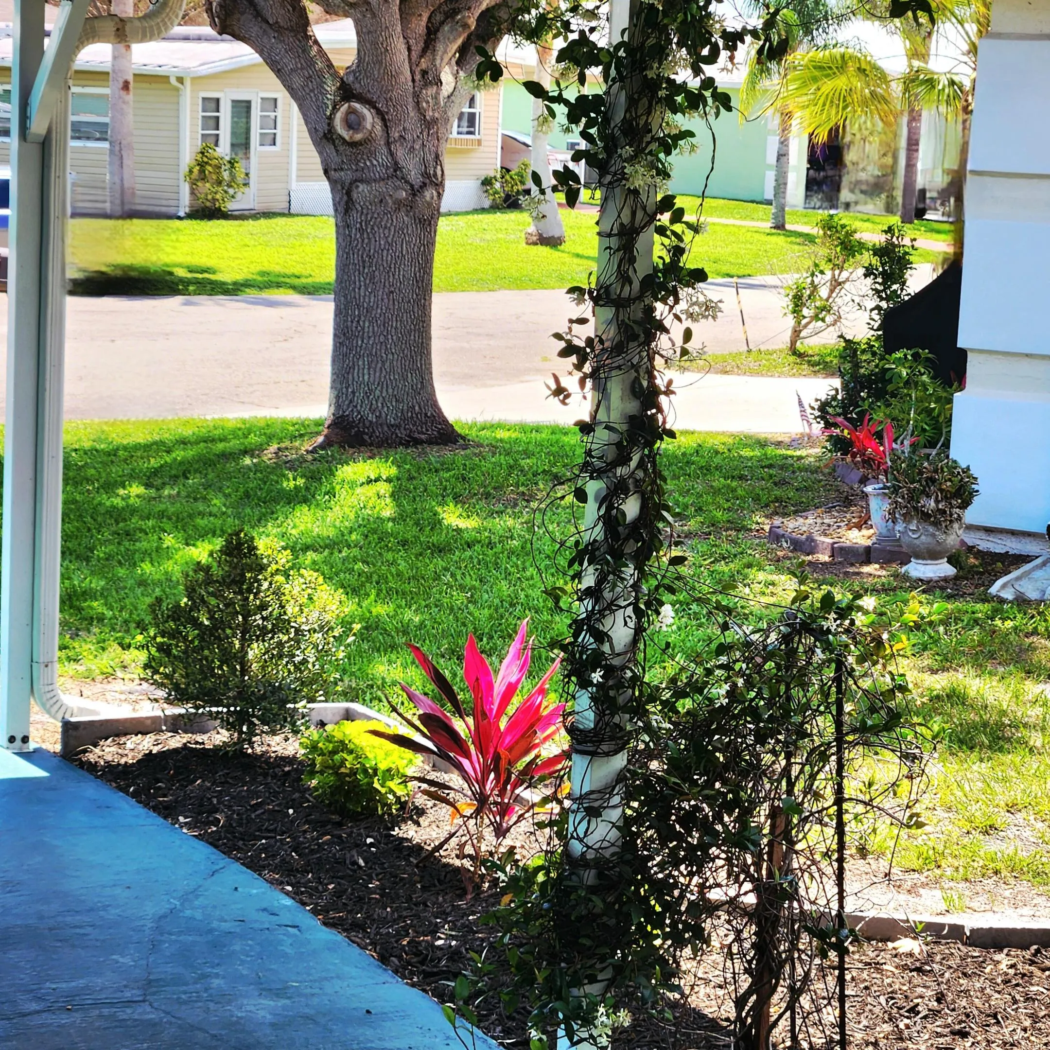 Property photo 77