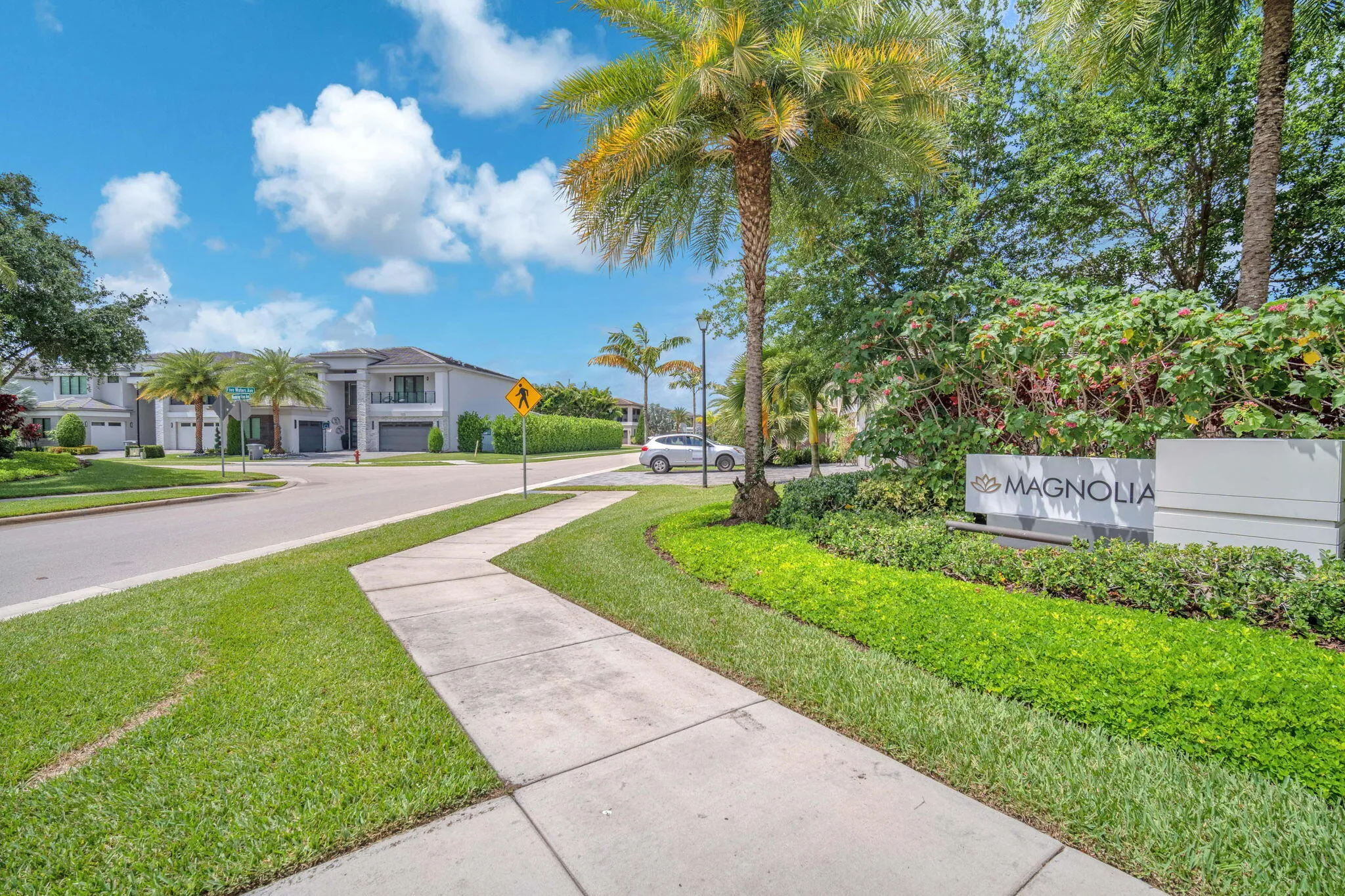 97-web-or-mls-DSC07964