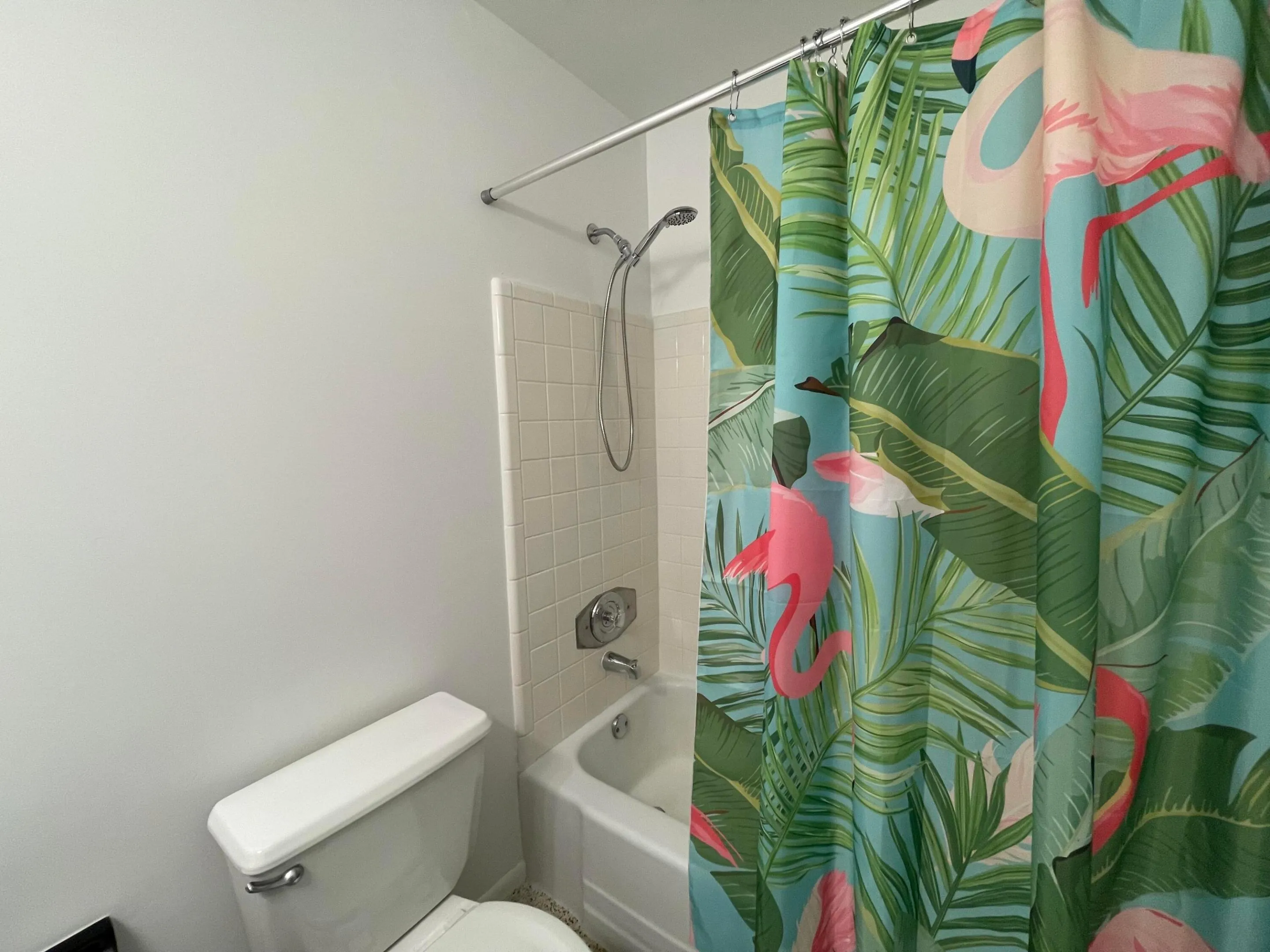 Hall Bathroom Tub