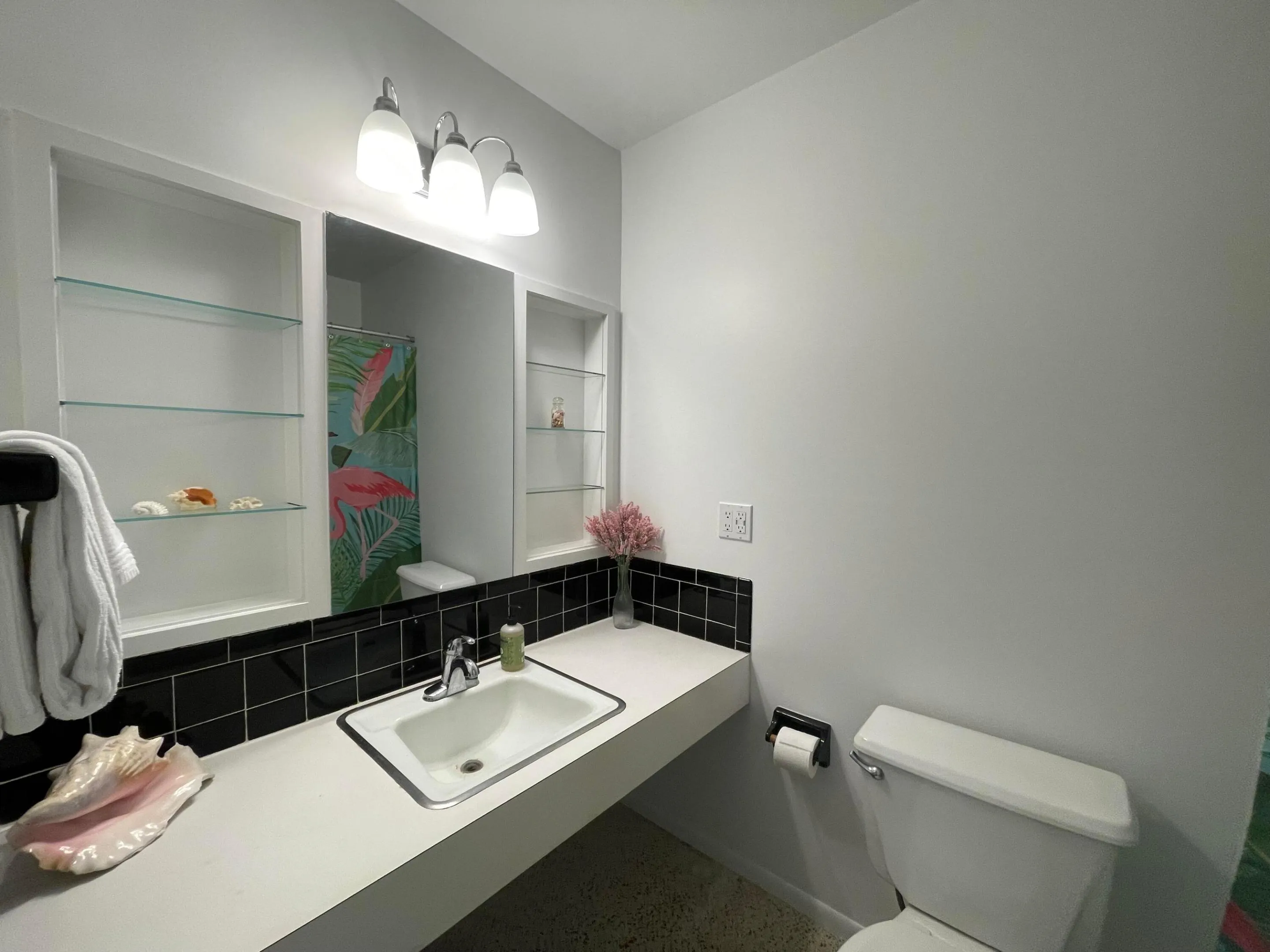 Hall / Guest Bathroom