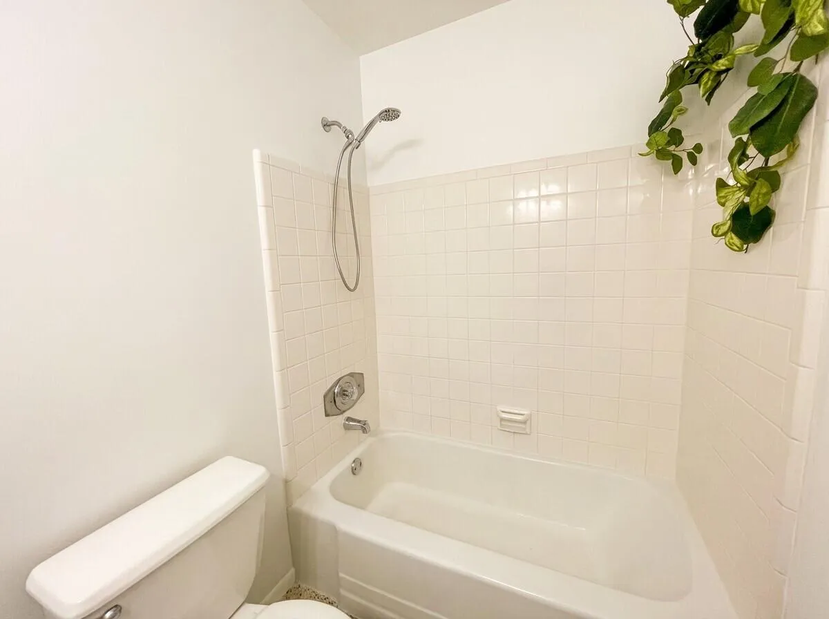 Hall Bathroom Tub