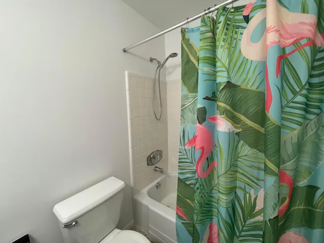 Hall Bathroom Tub
