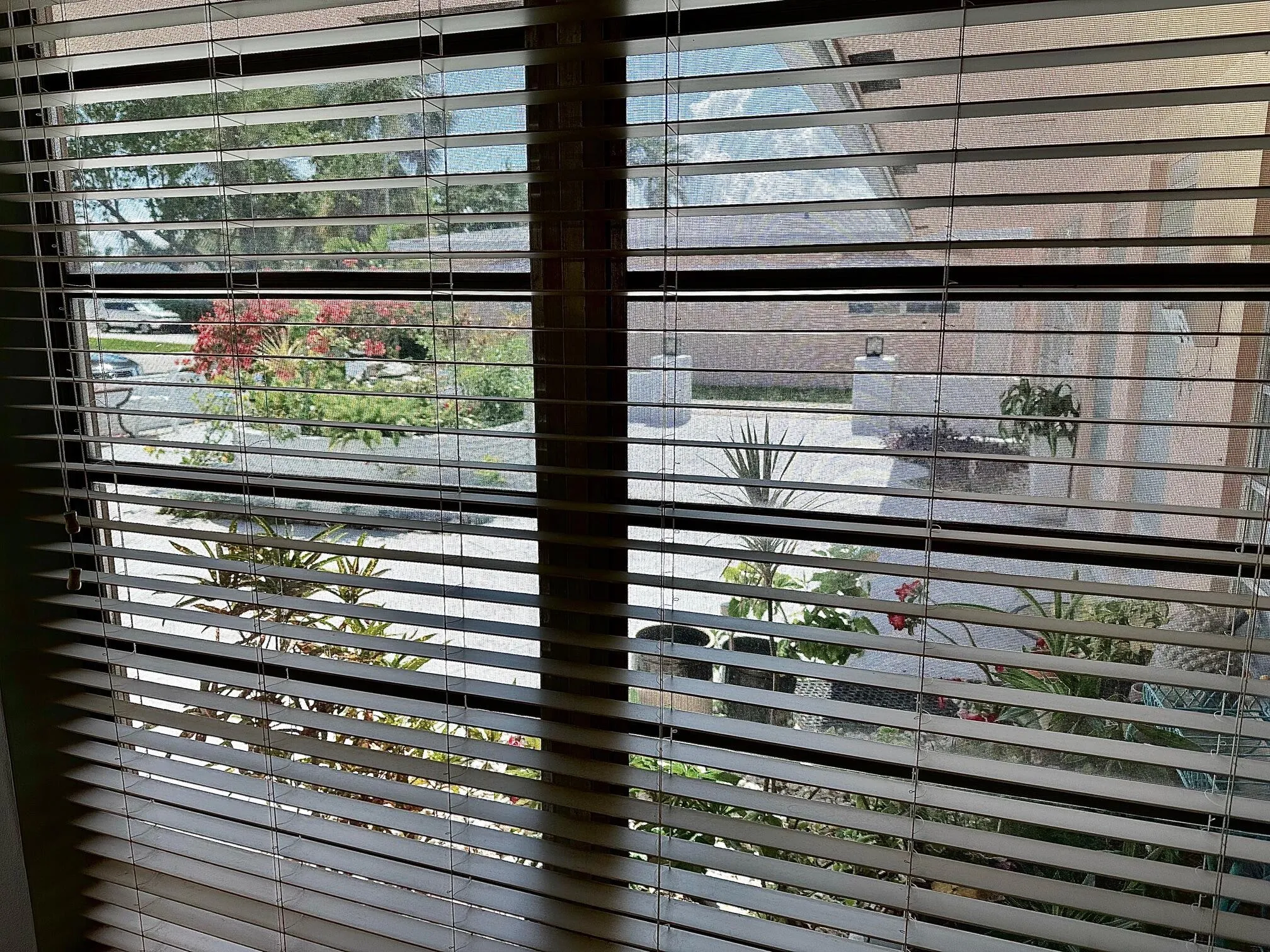 Pretty view of the courtyard