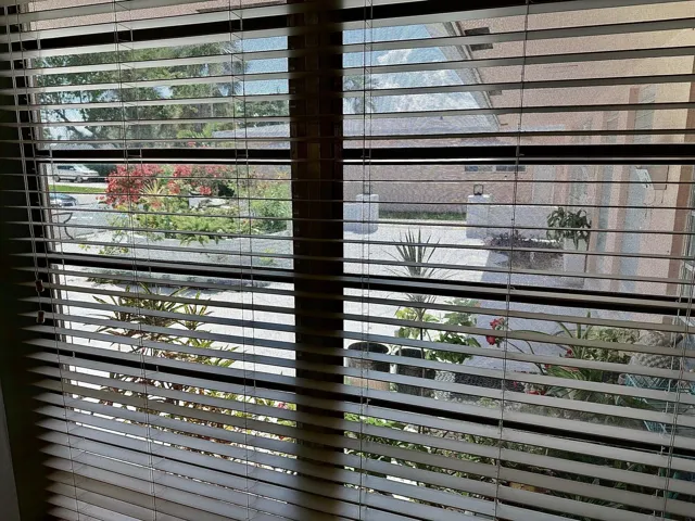 Pretty view of the courtyard