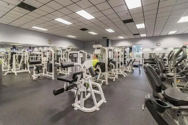wp gym