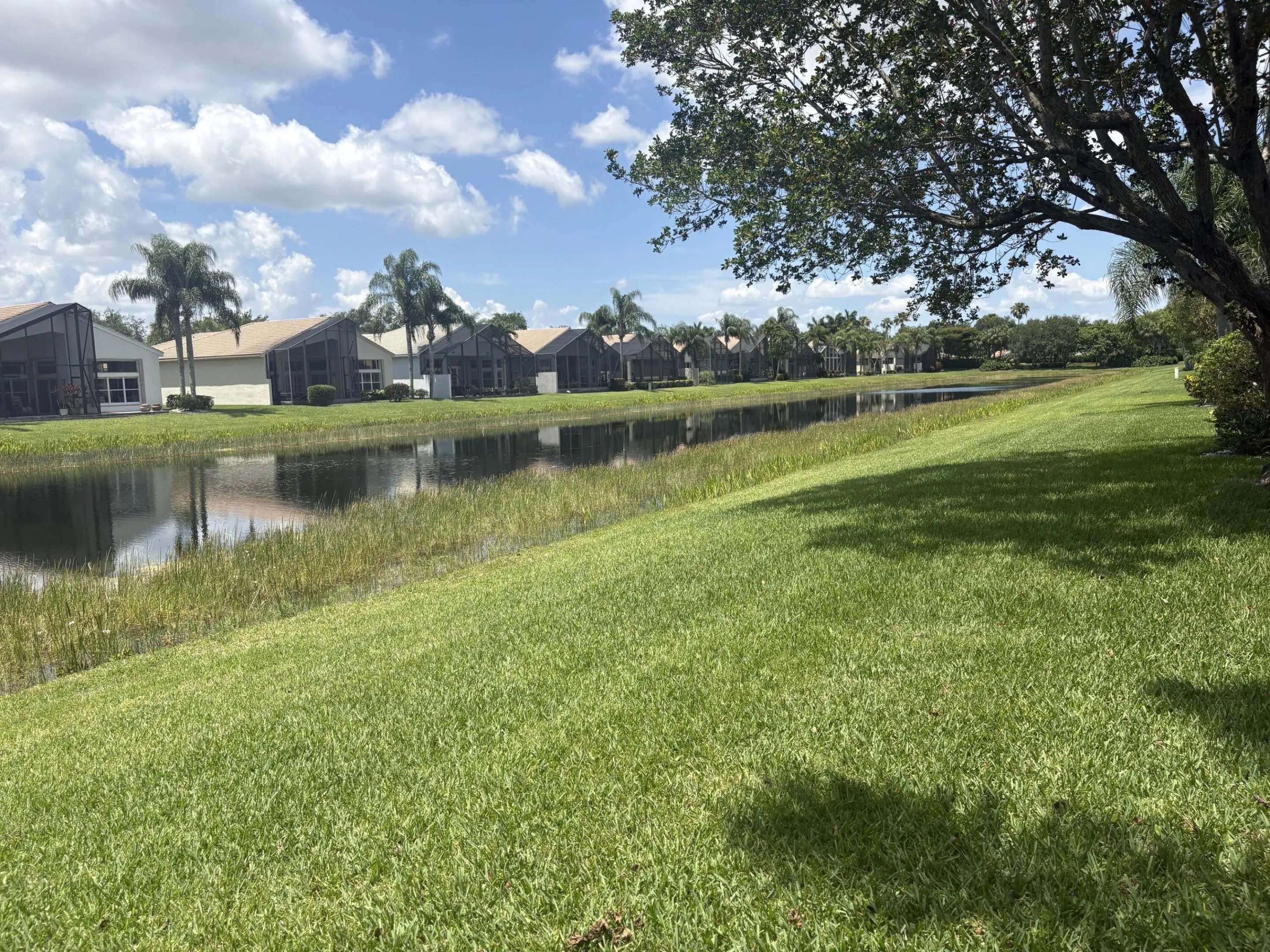 Lake view