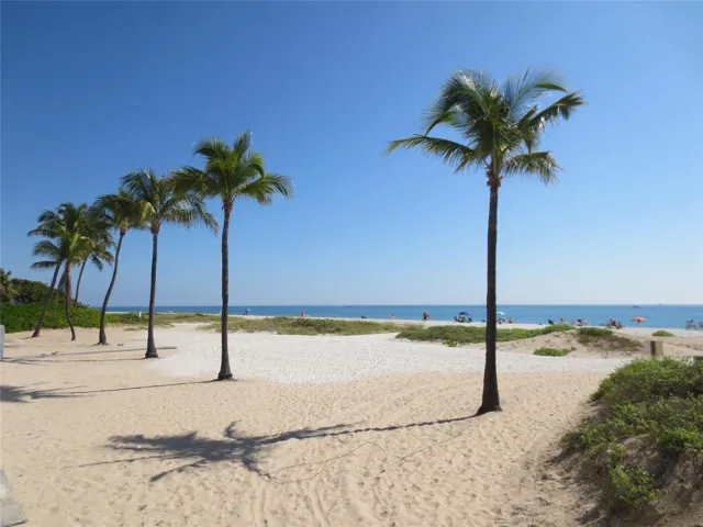 Local Beach