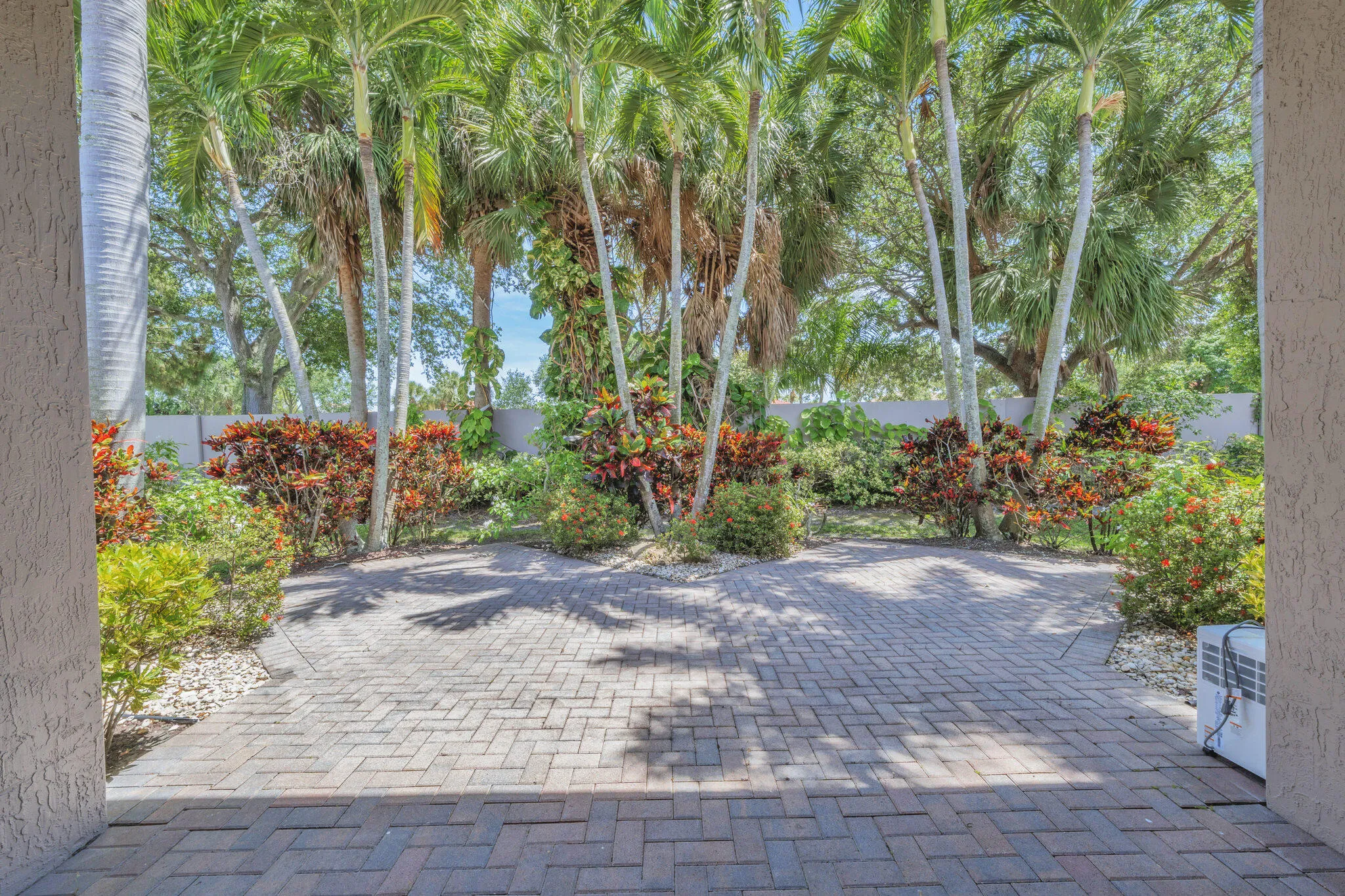 5 Backyard (2)