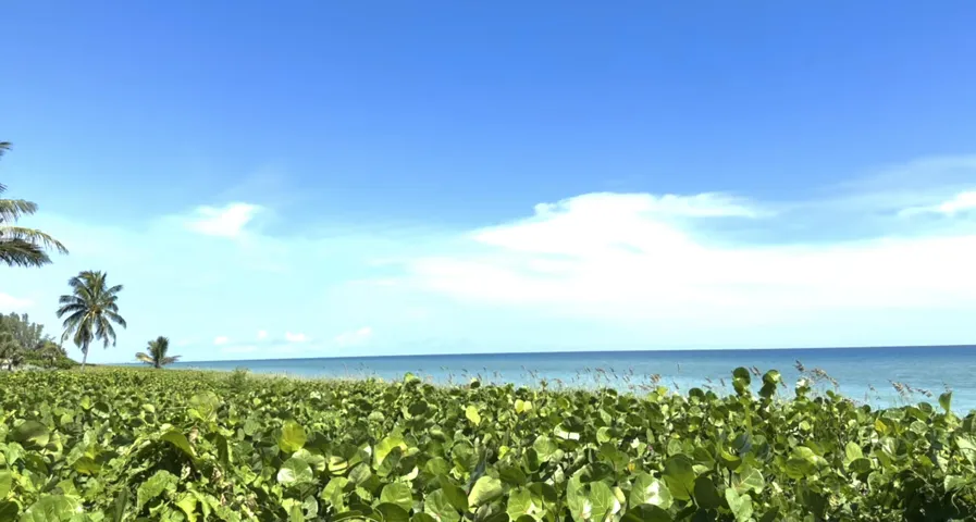 Beach by the community