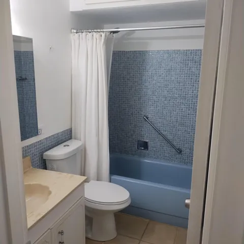 Guest bath 1