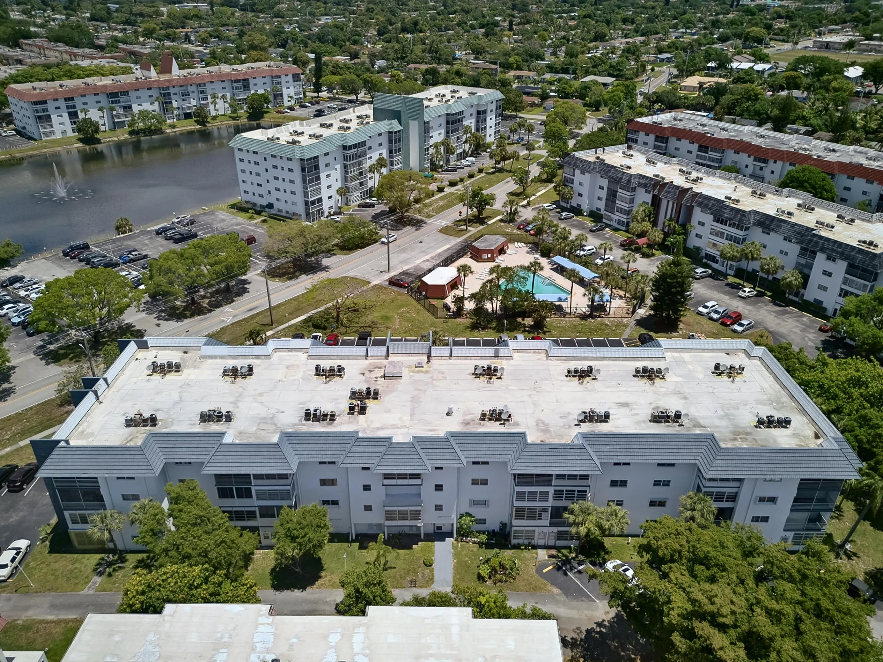 pereira-3