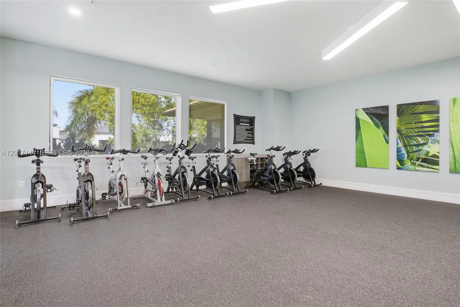 Property photo 46