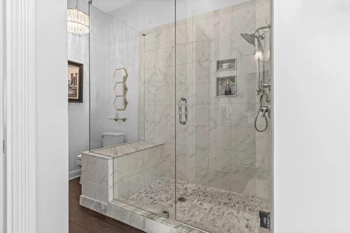 Primary Shower