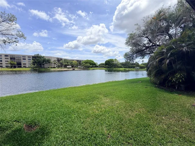 View from Patio