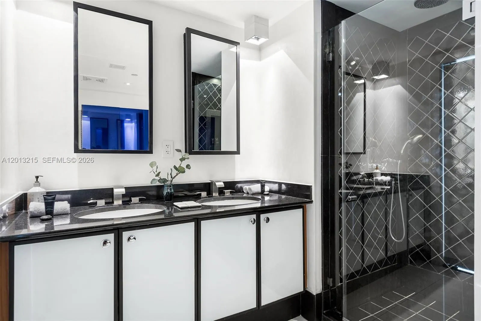 Property photo 100