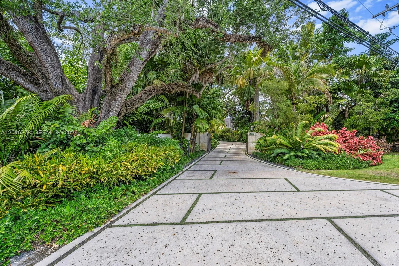 Property photo 43