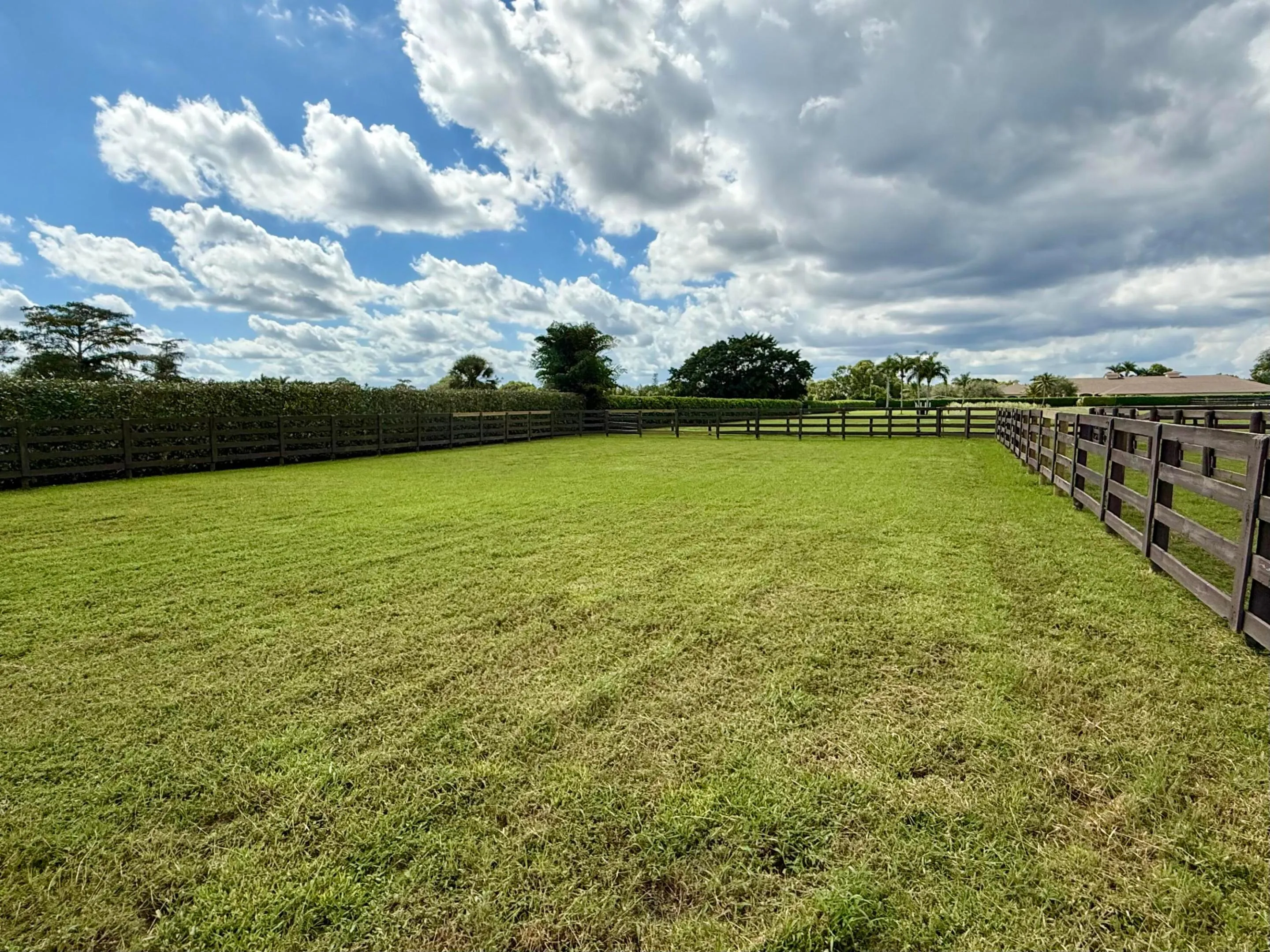field1
