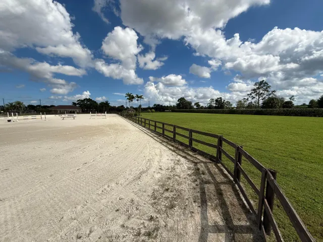 ring:field