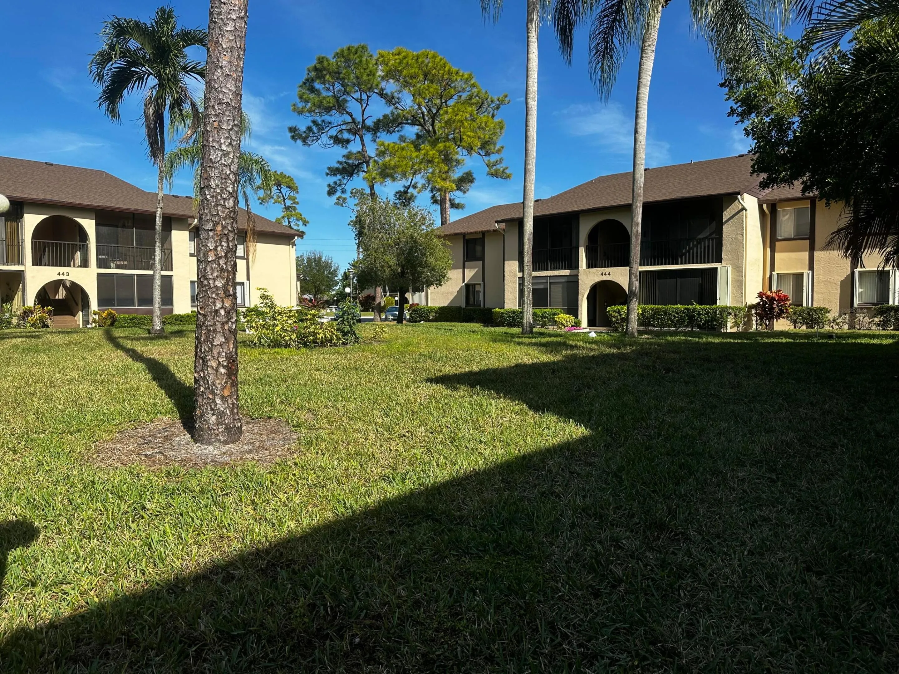 Court Yard