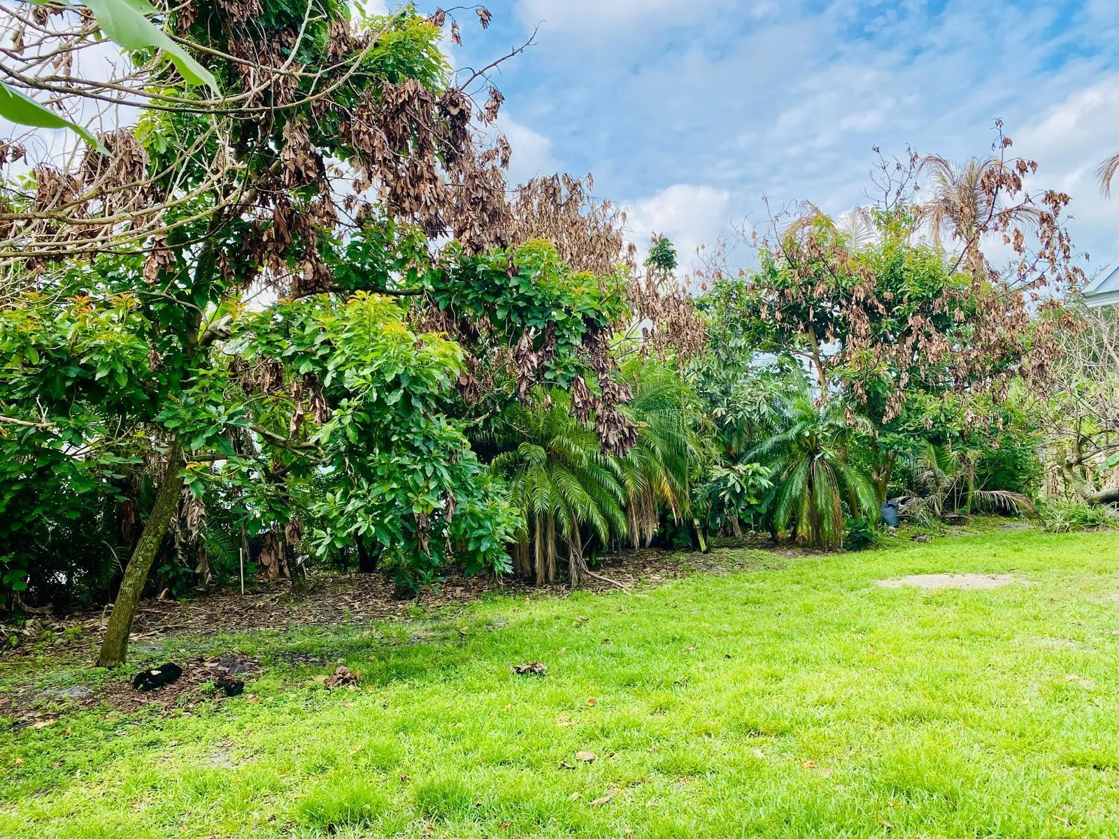 Property photo 27