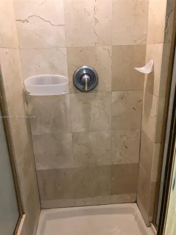 shower in principal bathroom