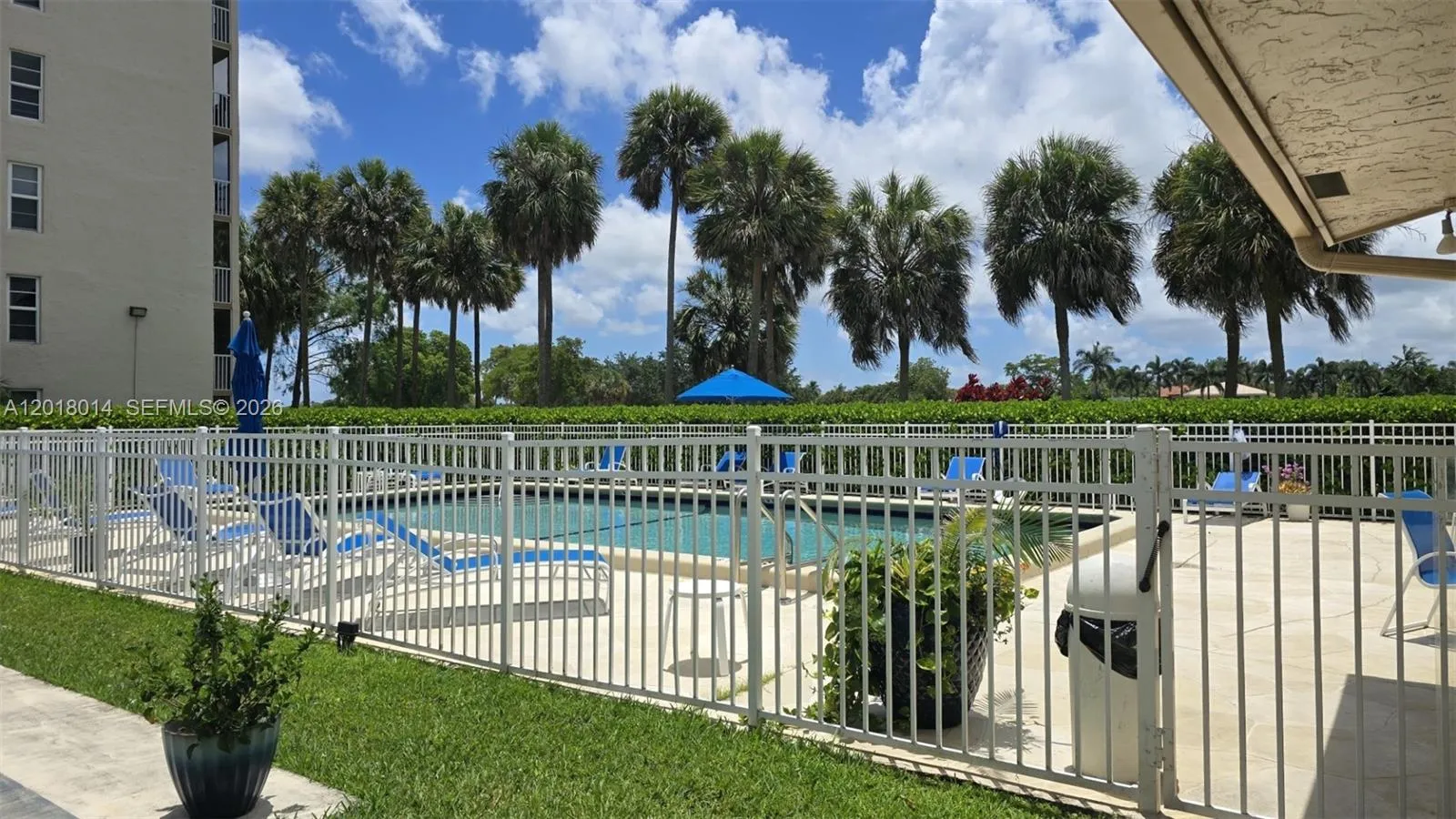 Pool view from Fence