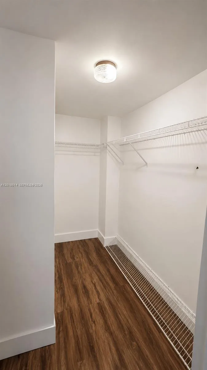 Walk-in Closet in Master Bedroom