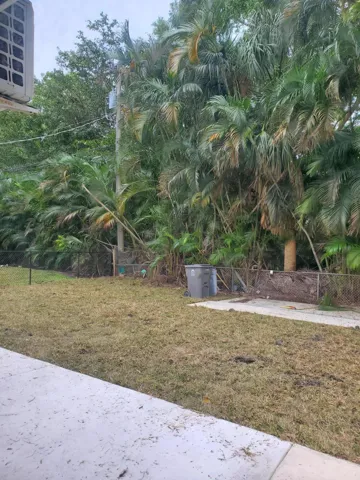 backyard 1