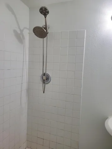 master bath shower