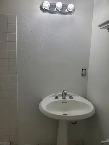 master bathroom sink