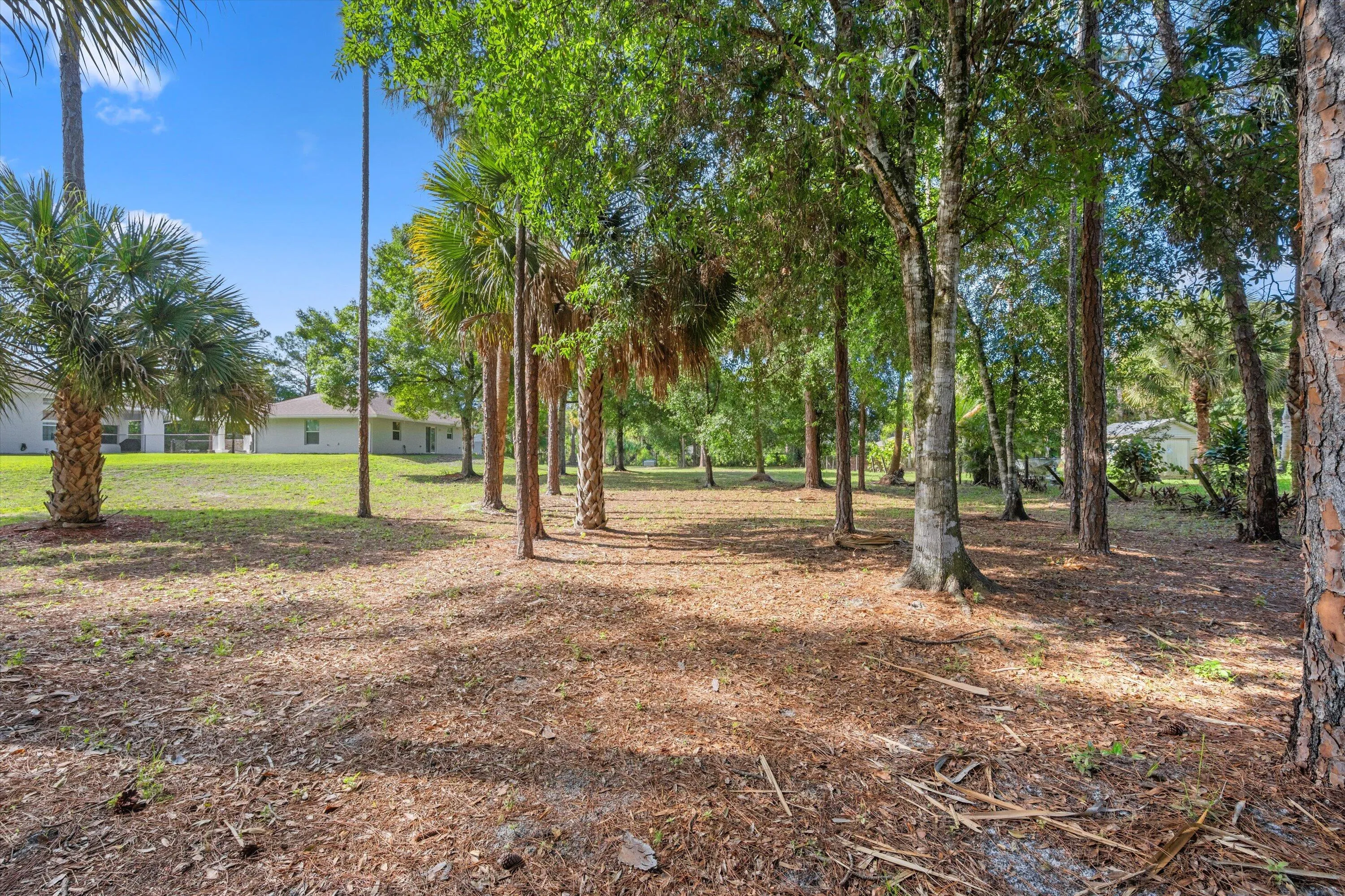 Property photo 93