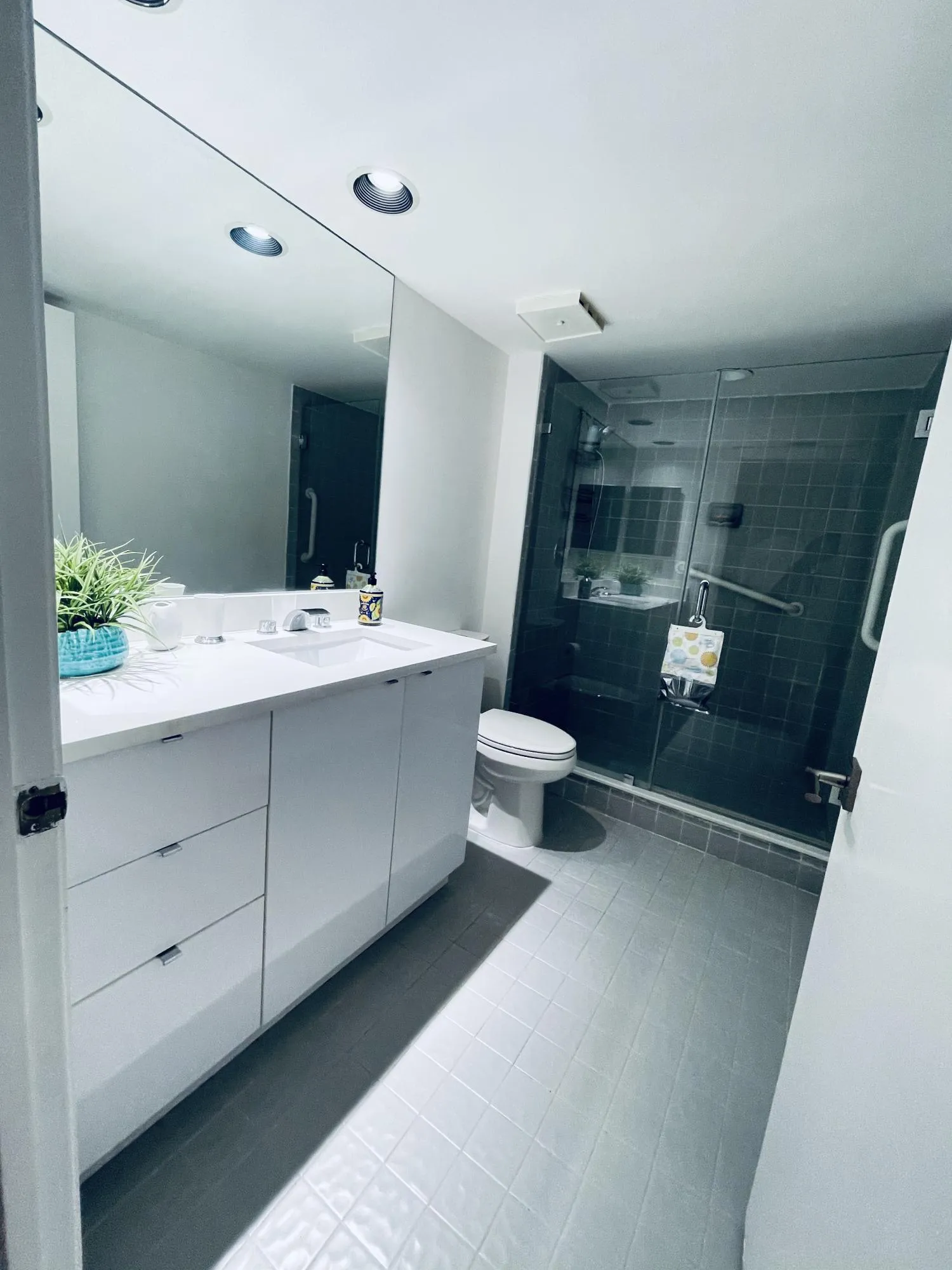 Guest bathroom